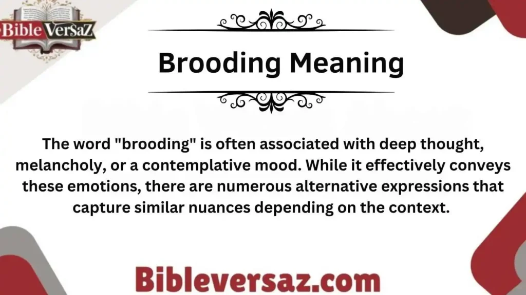 Brooding Meaning