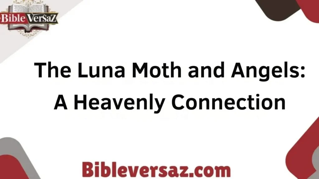 Luna Moth and Angels: A Heavenly Connection